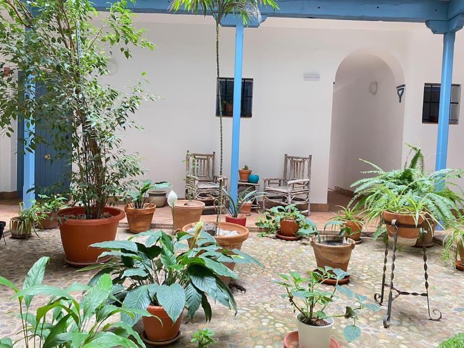 Hispalis Casa Pilatos 세비야 외부 사진